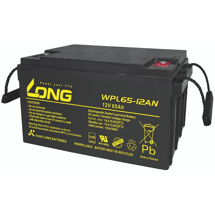 Long, Versorgungsbatterie, WPL65-12AN-M WPL65-12AN-M Bleiakku 12V 65Ah Blei-Vlies (AGM) (B x H x T) 350 x 179 x 167mm M6...