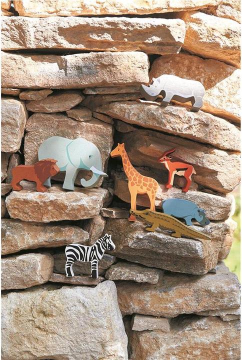 Actual product image Tender Leaf Toys Safari Display
