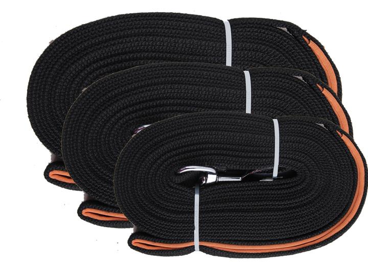 Actual product image Pawise Flat Leash 15 meter (Upbringing)