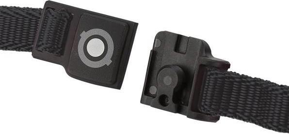 Image du produit Globber Elite (48 - 53 cm)