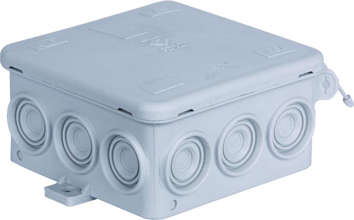 Pollmann AP junction box