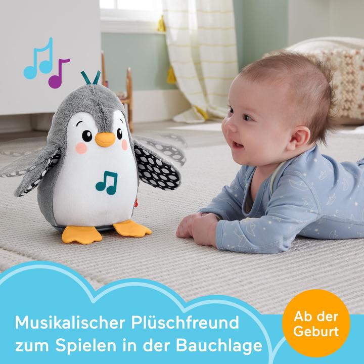 Produktbild Fisher-Price Flatter & Wackel (20.32 cm)