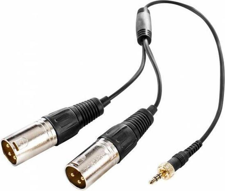 Actual product image Saramonic Rozgałęźnik audio SR-UM10-CC1 - mini Jack TRS / 2x XLR (0.35 m, XLR Cables)