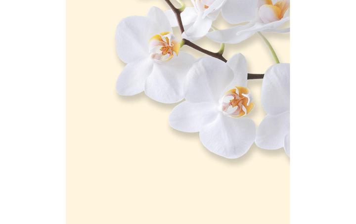 Actual product image Sigel Design paper (90 g/m², 50 x)