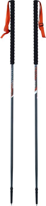 Actual product image Viking Mission