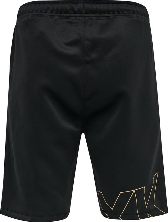Actual product image hummel Cima Xk Shorts (L)