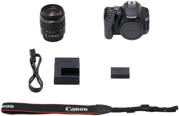 Actual product image Canon EOS 250D (18 - 55 mm, 24.10 Mpx, APS-C / DX)
