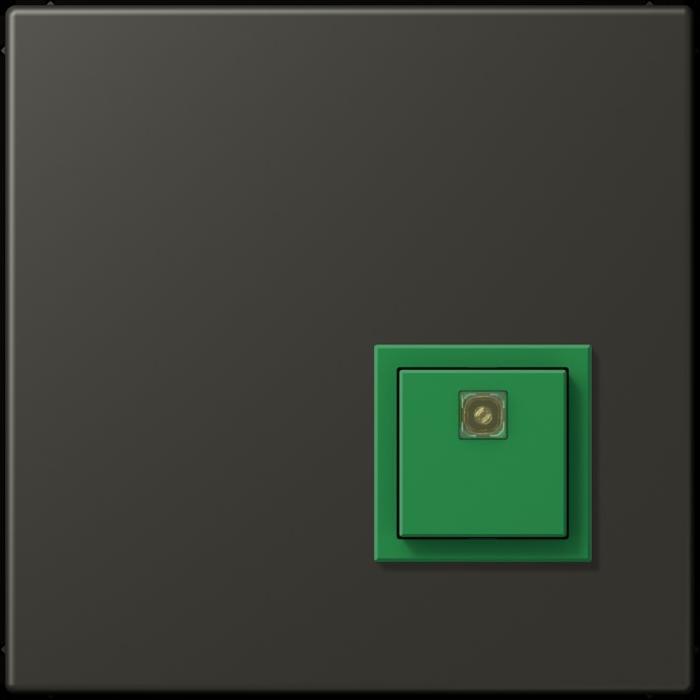 Actual product image JUNG Switch-off button