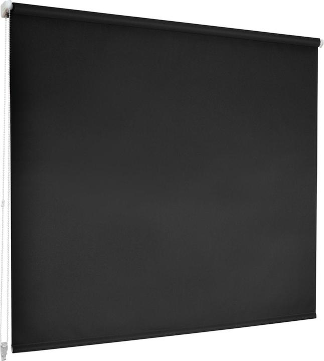 Casa Pura Daylight Color