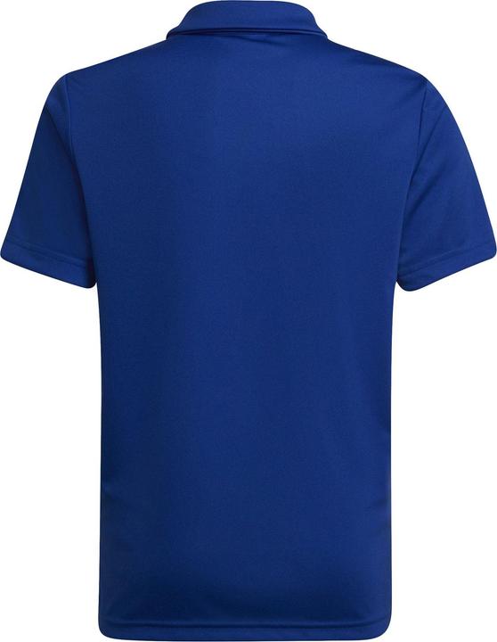 Actual product image adidas Entrada 22 Polo Kids (152)