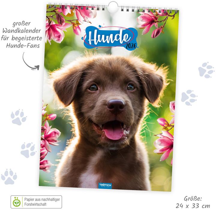 Produktbild Trtsch Classickalender Hunde 2026 (Spezial)