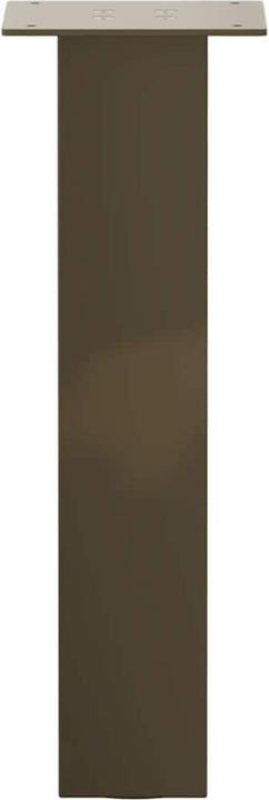 Image du produit vidaXL Couchtischbein