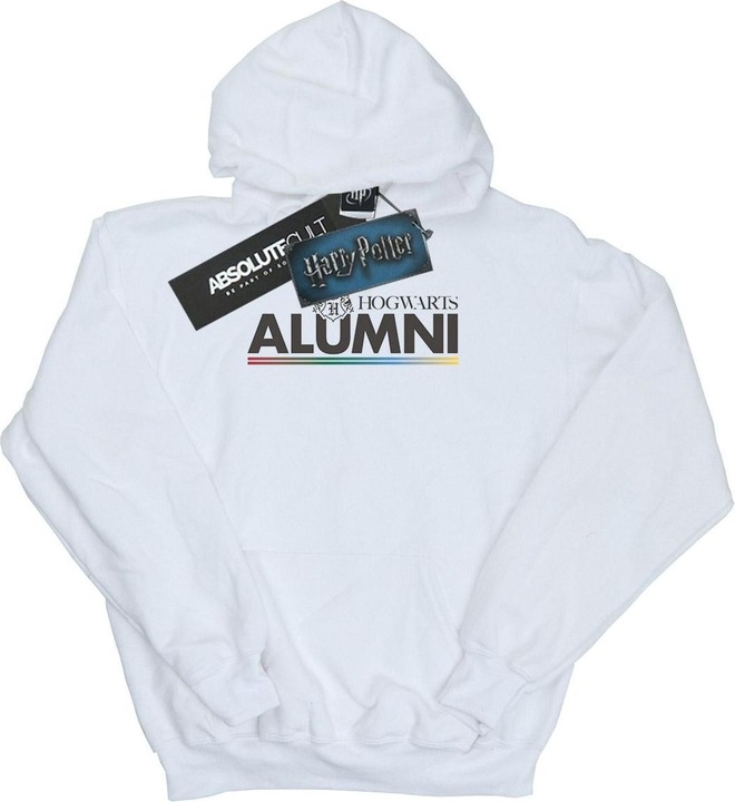 Image du produit - Sweat à capuche HOGWARTS ALUMNI - Homme (XXL)