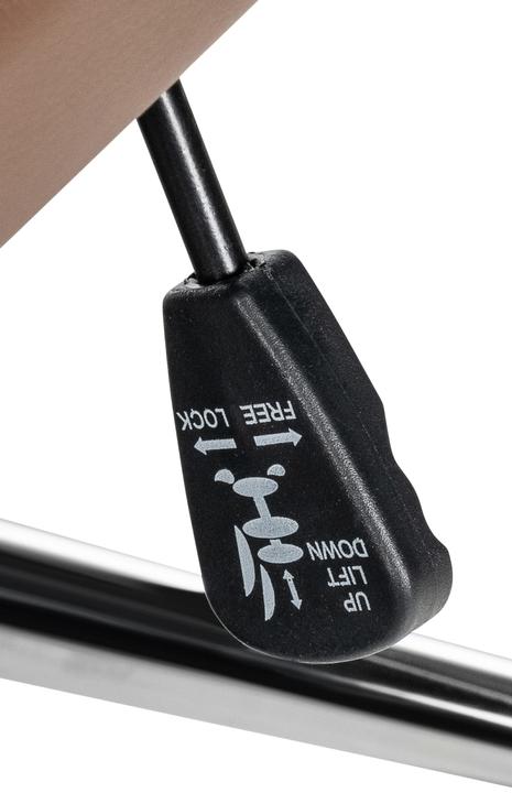 Actual product image CLP Mollis