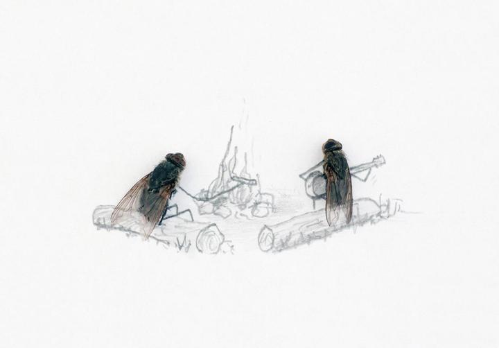 Produktbild Das geheime Leben der Fliegen (Deutsch, Magnus Muhr, 2011)