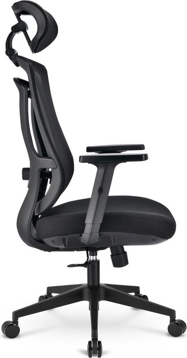 Actual product image Sharkoon OfficePal C10