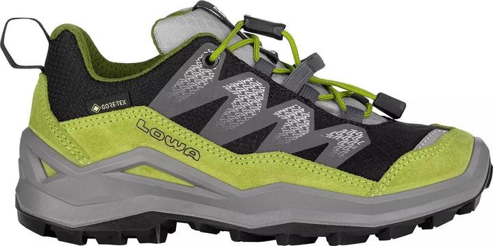 Produktbild Lowa Maddox Pro GTX LO (31)