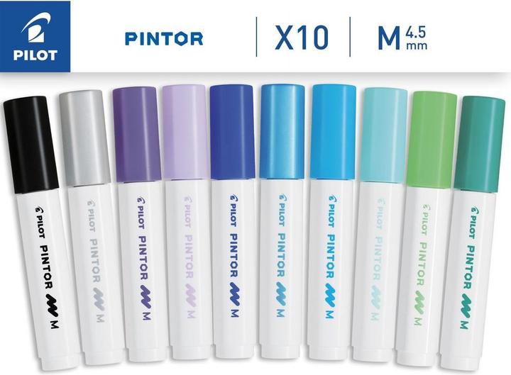 Image du produit Pilot Pintor Medium Color Palette - Cool (10x)