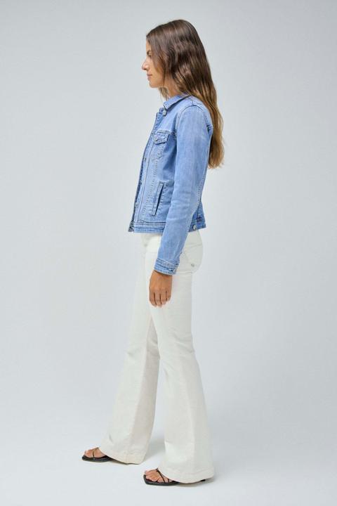 Produktbild Salsa Jeans Jeansjacken Denim Trucker Jacket (S)