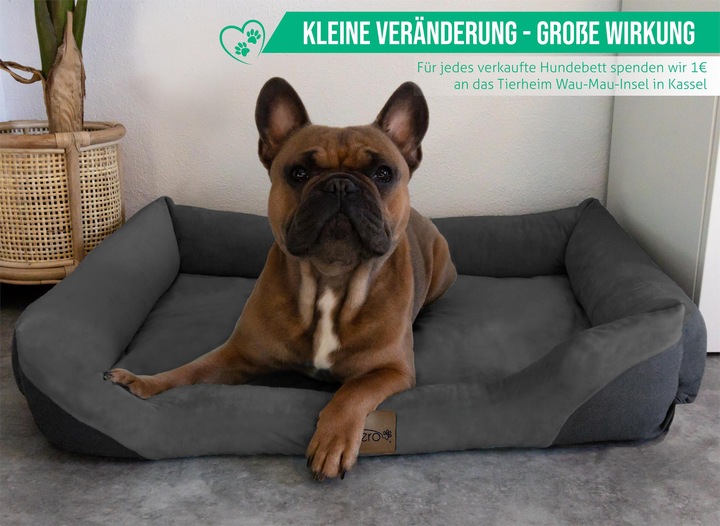 Actual product image Aspero Hundebett und Hundedecke Hanko und Lund (Dog)
