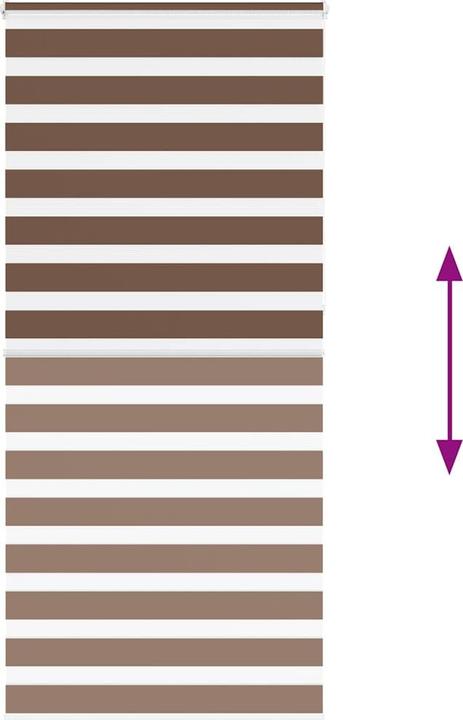 Produktbild vidaXL Zebra-Jalousie (95 x 230 cm)