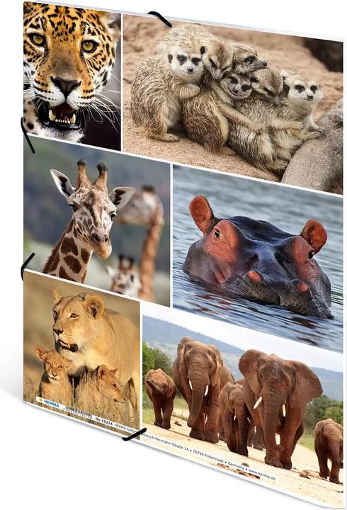 Produktbild HERMA Sammelmappe A4 Motiv (A4, 1x)