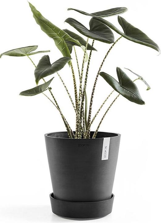 Produktbild Ecopots Saucer on Wheels