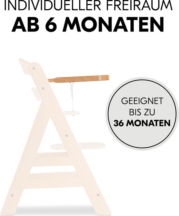 Actual product image Hauck Alpha Tray