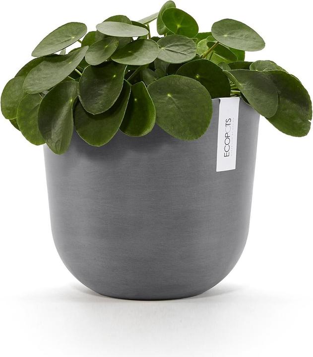 Actual product image Ecopots Oslo (25 cm)