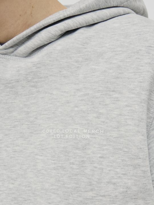 Immagine prodotto Jack & Jones Jcointerlude Tonal Back Print Sweat Hood (XL)