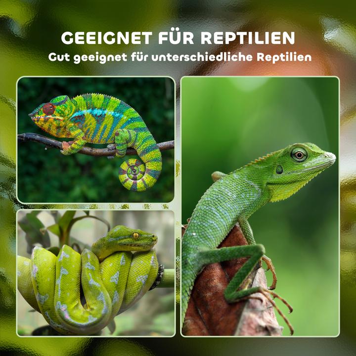 Produktbild PawHut Reptilienhaus
