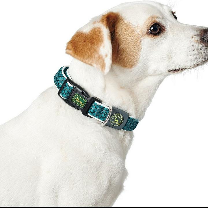 Actual product image Hunter Dog collar Hilo Vario Basic (M, S, Dog, General)