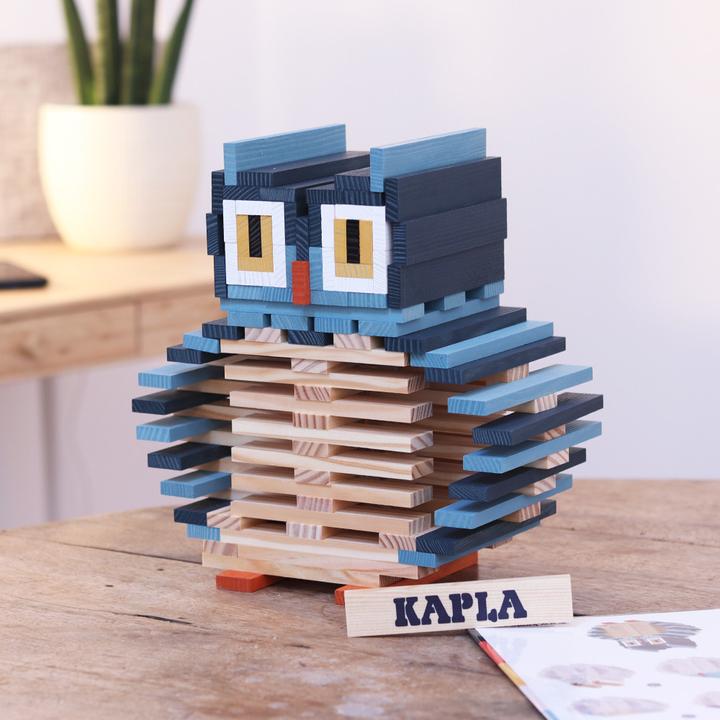 Actual product image Kapla Owl set