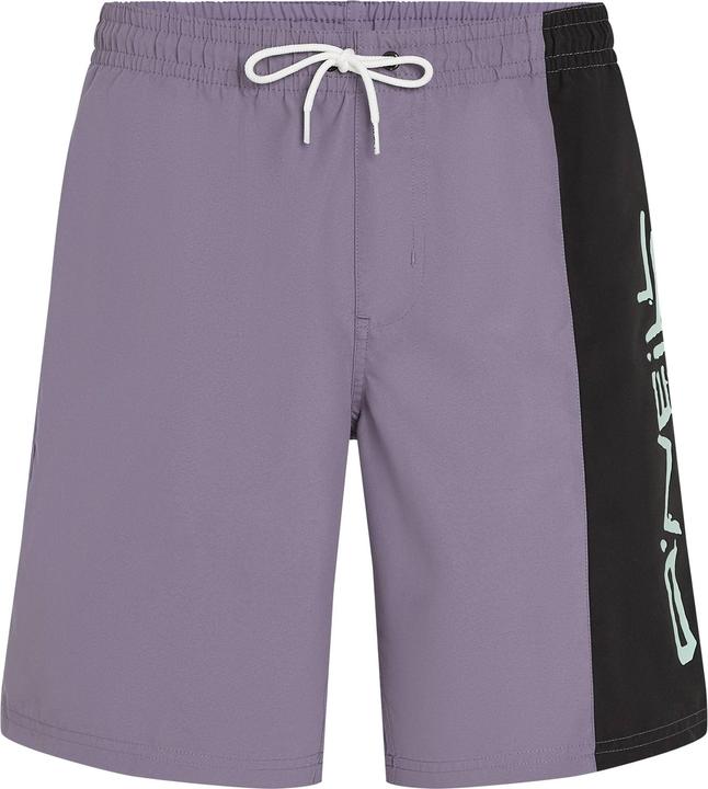 Image du produit O'Neill RETRO 19" SWIMSHORTS (XS)