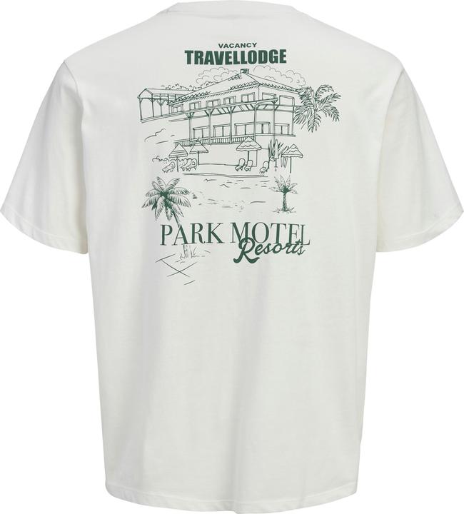 Immagine prodotto Jack & Jones Jorbradley Park Motel Tee Ss C.N Stmss25 (L)