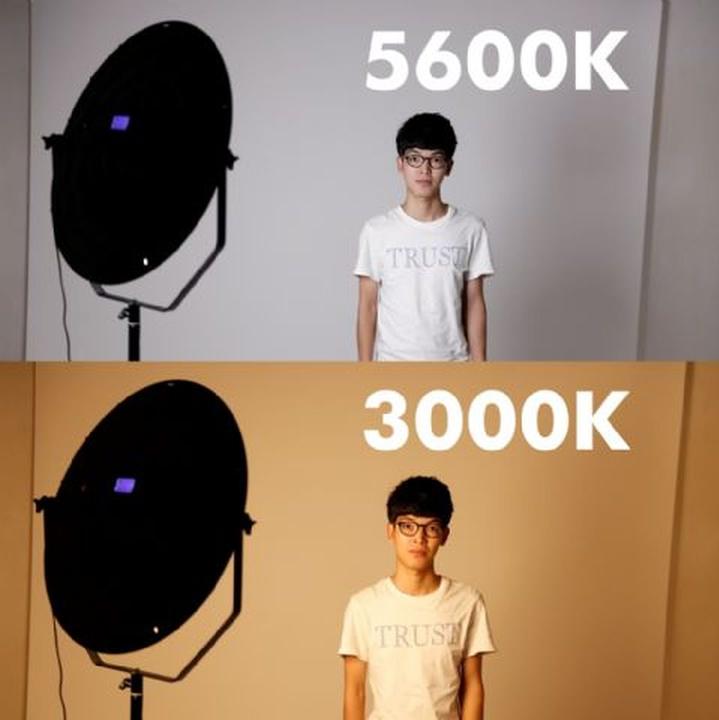 Produktbild Falcon Eyes Bi-Color LED Lampe Sophiez SO-28TD auf 230V (Studioleuchte)