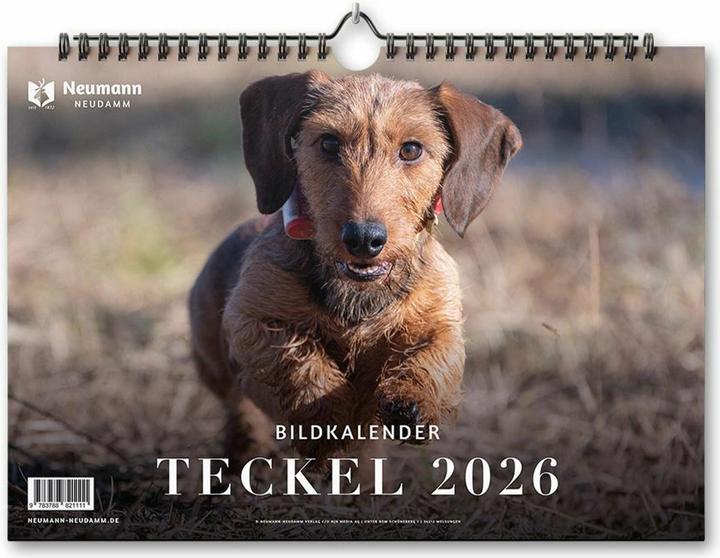 Image du produit Teckel 2026