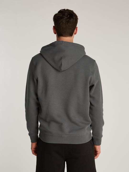 Image du produit Tommy Jeans Tjm Reg Linear Logo Hoodie Ext (L)