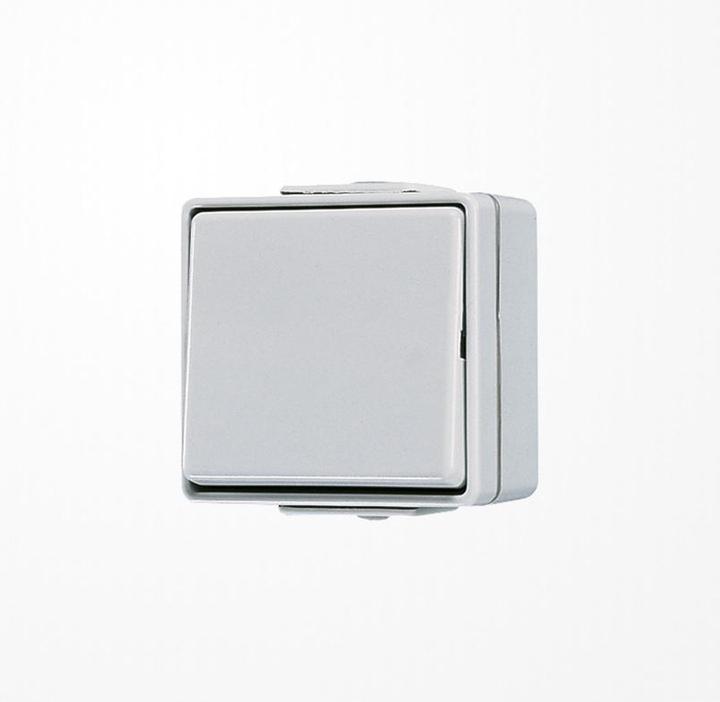 Image du produit JUNG interrupteur à bascule