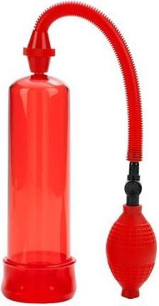 Actual product image Rene Rofe Boyshort (M, L)