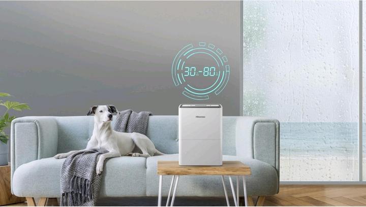 Produktbild Hisense D12HW (25 m², 12 l/24h)