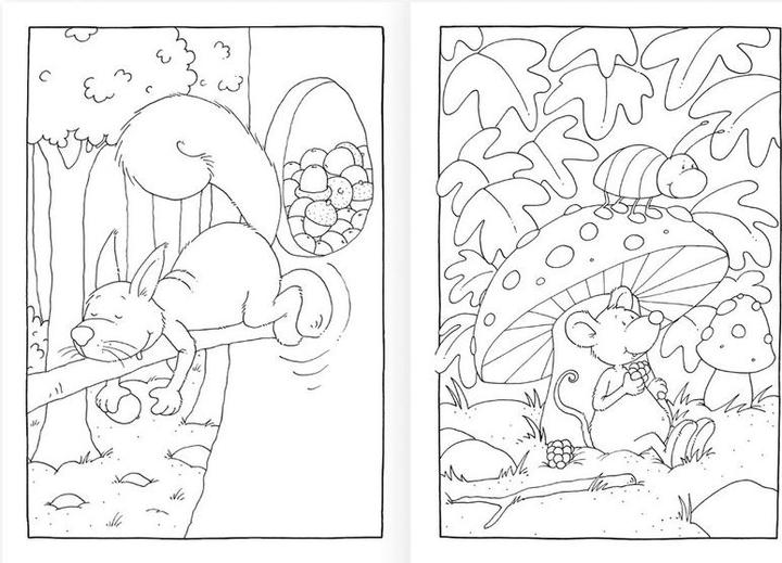 Actual product image Coloring book