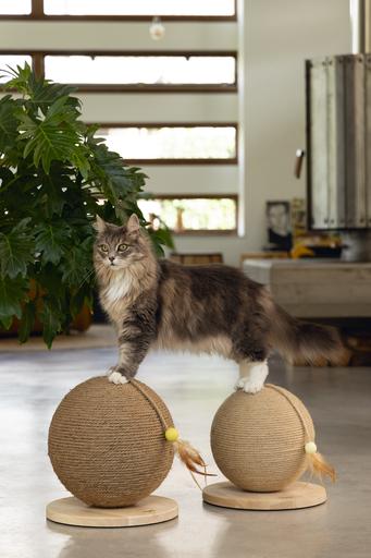 Productafbeelding Designed by Lotte Krabbelbal Balty (31.50 cm, Natuur)