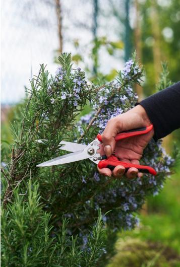 Produktbild Felco 456 Universalschere