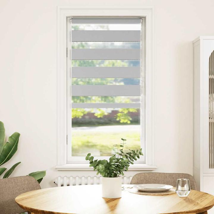 Produktbild vidaXL Zebra-Jalousie (65 x 100 cm)