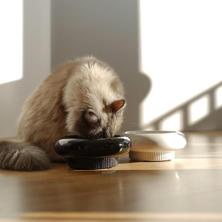 Image du produit LucyBalu MYCO Katzennapf