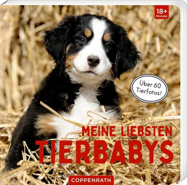 Produktbild Meine liebsten Tierbabys (Deutsch, 2022)
