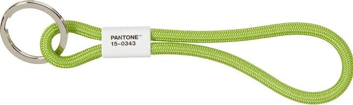 Image du produit Pantone Schlüsselanhänger
