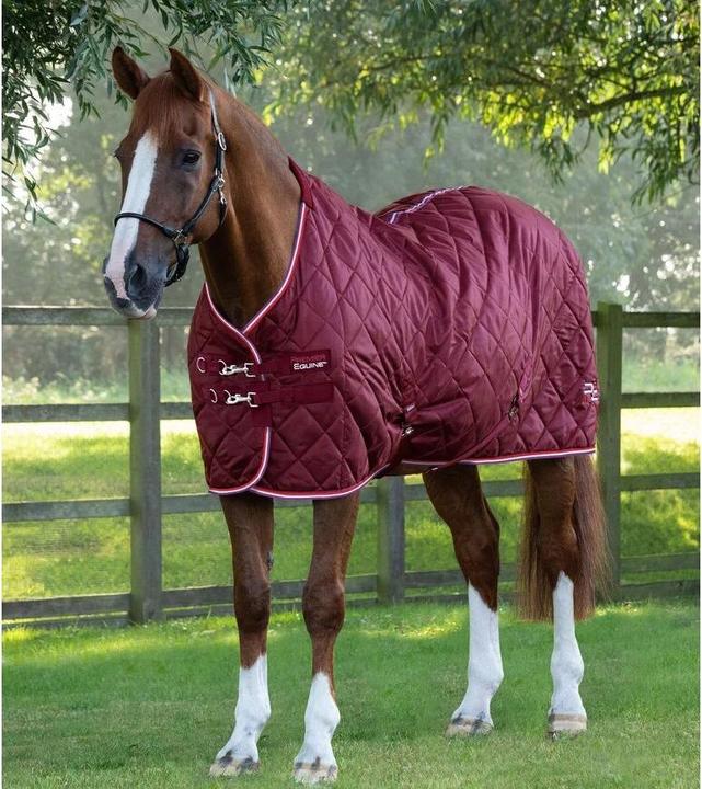 Produktbild Premier Equine Tuscan 100 g (160 cm)