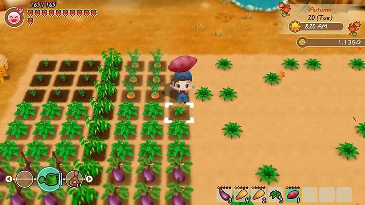 Produktbild Marvelous Story of Seasons: Friends Of Mineral Town (PS4, EN)